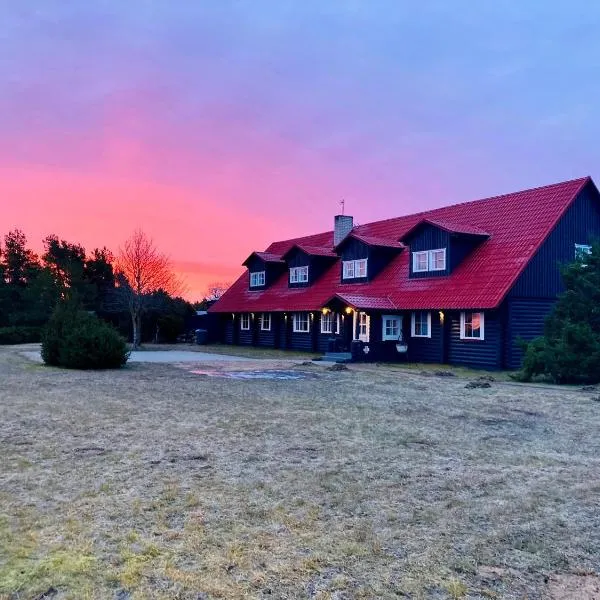 Kliff Butiik Majutus & Restoran, hotel en Pidula