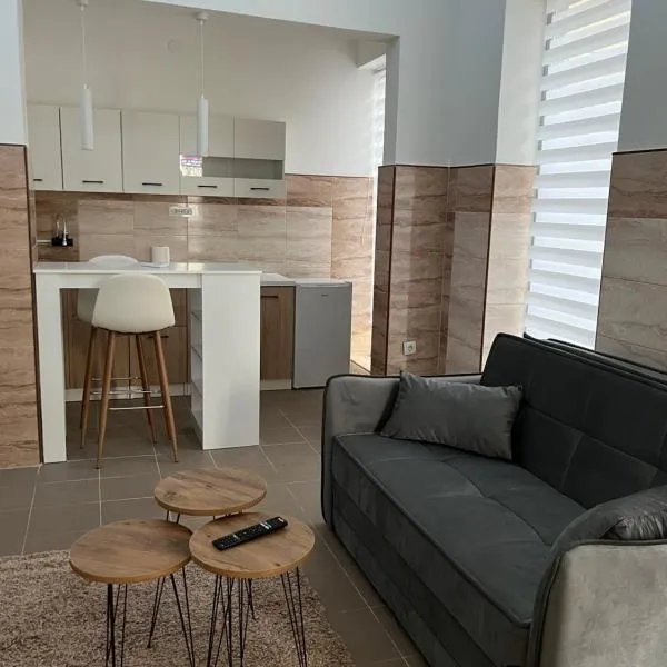 Central Apartments 3, ξενοδοχείο σε Ζάγετσαρ