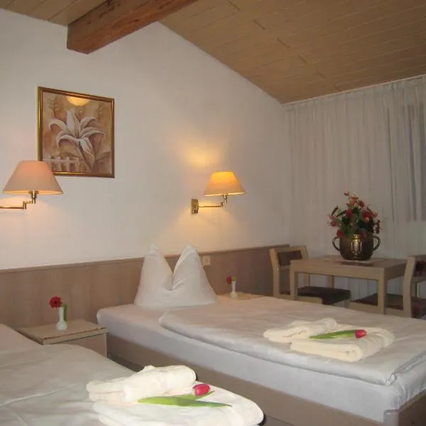 Zum Flößer, hotel v destinaci Neckartenzlingen
