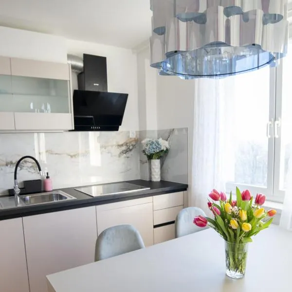 Central Elite Vista-with parking, hotel in Ljubljana