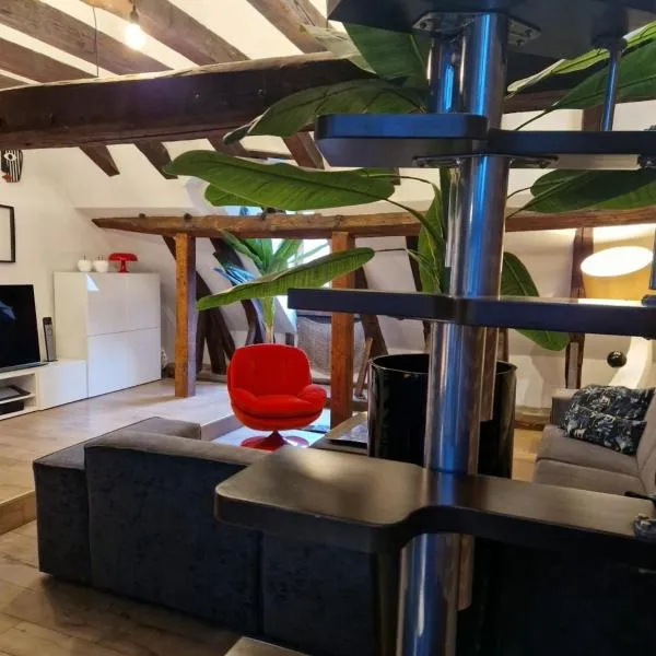 Loft i gemelli, hotel v destinaci Montbéliard