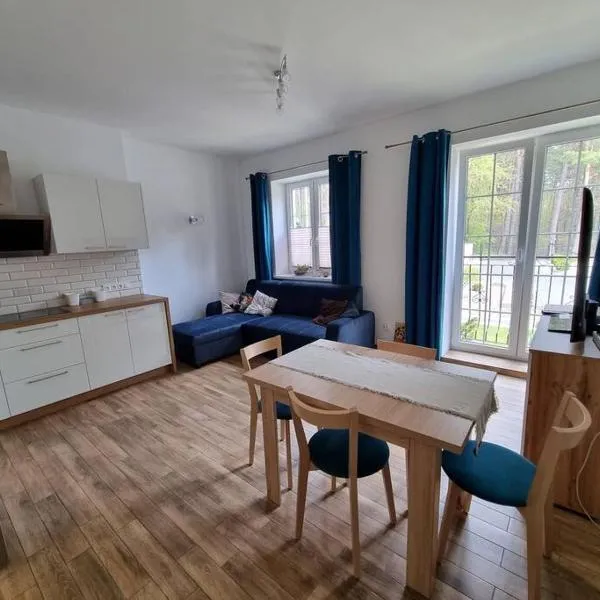 Uroczy apartament blisko jeziora, hotel in Borne Sulinowo