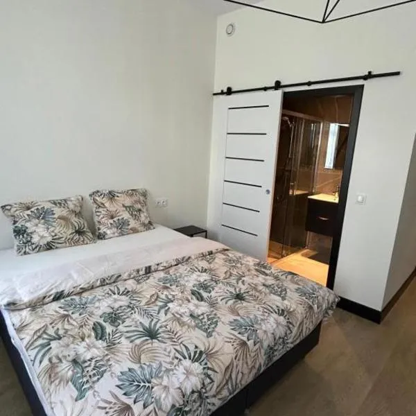 Chrobry pokój de luxe, hotel v destinaci Gorzów Wielkopolski