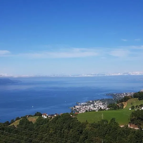 La Pergola, hotell i Montreux