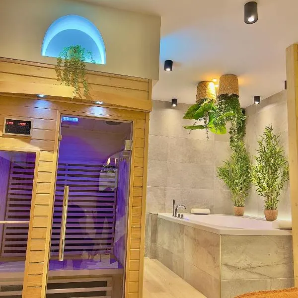 Spa - Sauna privatif plein centre, hotel in Troyes