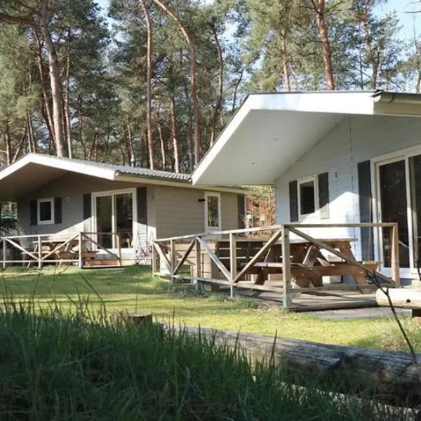 Boslodge XL, hotel v destinaci Alphen
