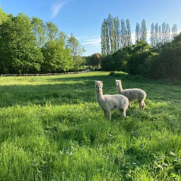 Dragonfly Lodge Ifold & Alpaca My Tipi Glamping, hotel v destinaci Billingshurst