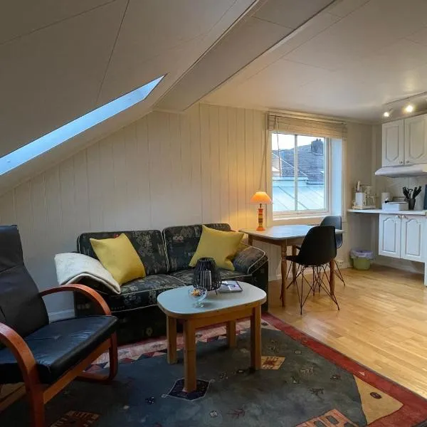 Bakkebo Trollstigen, hotel in Åndalsnes