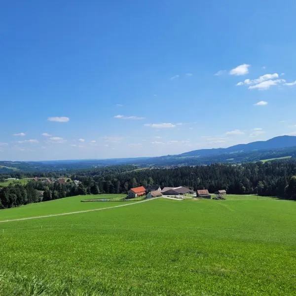 Pircherhof - Adults Only am Bauernhof, hotel in Gschaid bei Birkfeld