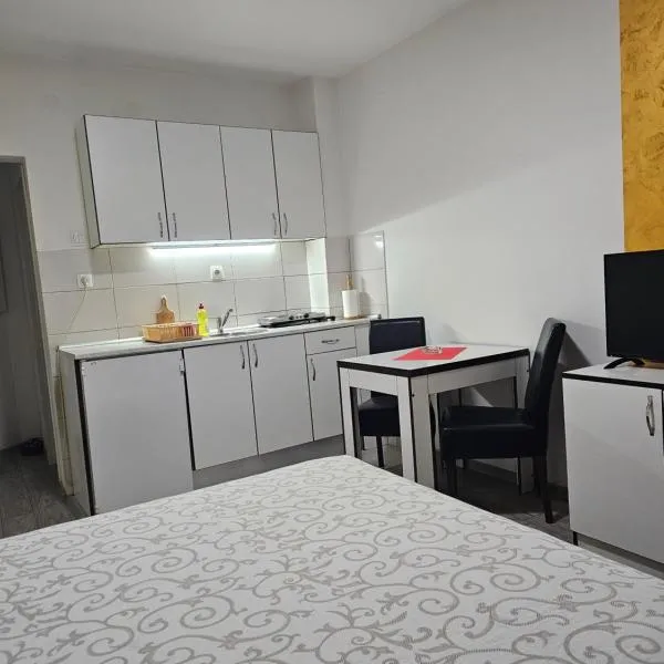 Apartmani Borko 3-1, hotel in Loznica