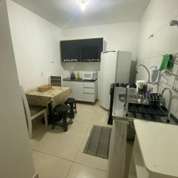 Samambaia QI 616 - Foto 4