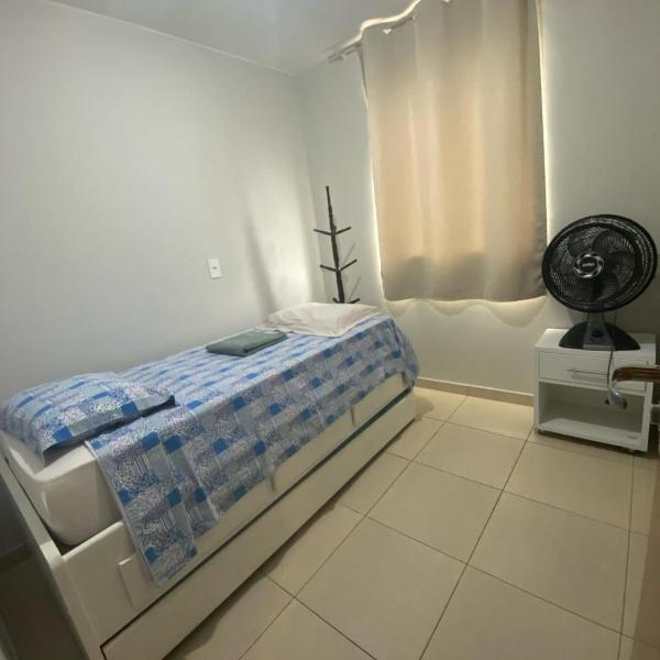 Samambaia QI 616 - Foto 2