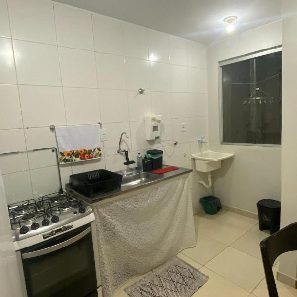 Samambaia QI 616 - Foto 3