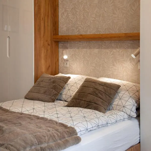 크라쿠프에 위치한 호텔 Ekskluzywny apartament + garaż