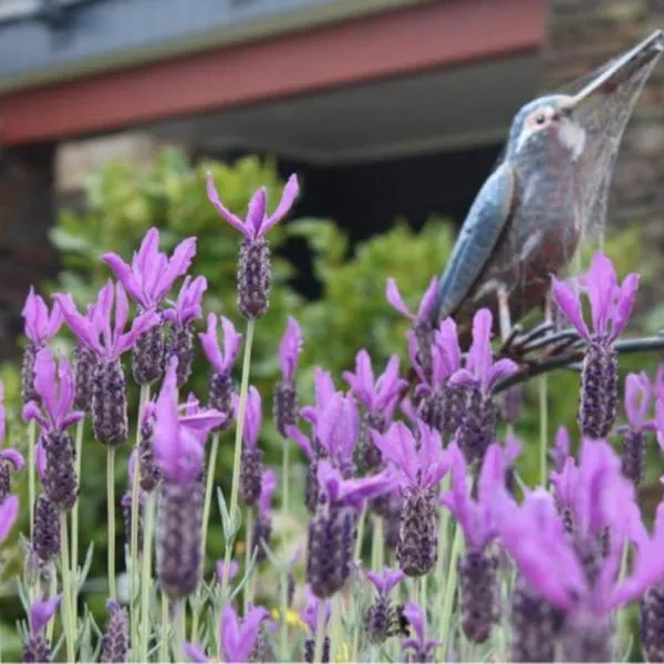 Maymorn Orchard Suite, hotel di Upper Hutt