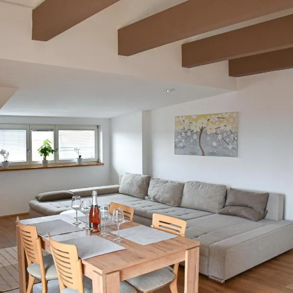Apartments Sina, hotel a Nadgorica