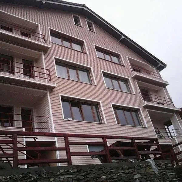 Pensiunea Roka, hotel di Ranca