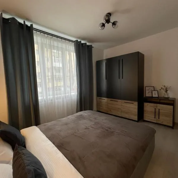 Cozy Apartment Sfanta Vineri Zalau, hotel em Brebi