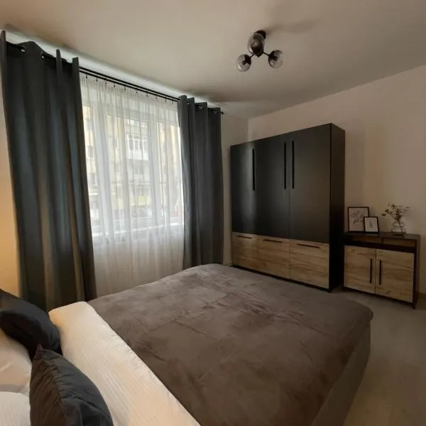 Cozy Apartment Sfanta Vineri Zalau, hotell i Zalău