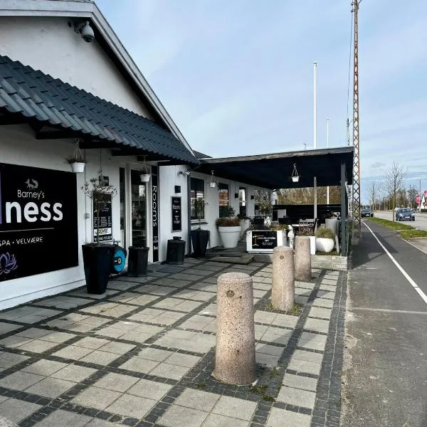 Barneys Rooms, hotel en Greve Strand