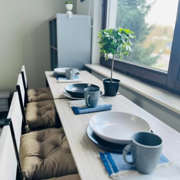 LENASTAY I Modernes Apartment-Studio, отель в Кайзерслаутерне