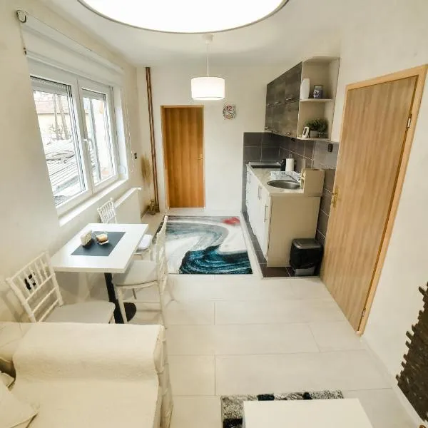 Apartman Sevojno, hotel in Sevojno