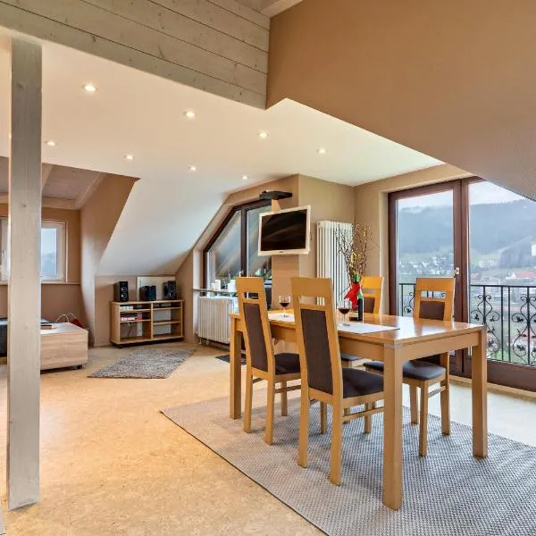 Fewo Sonnenschein - Haus Sommerberg, hotel a Baiersbronn