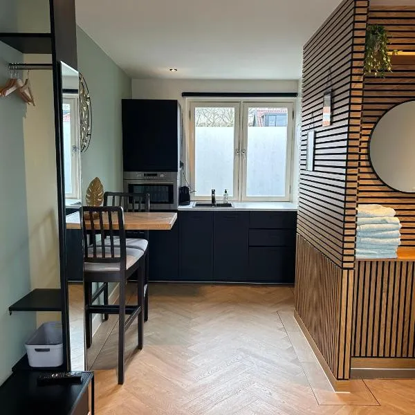 Bnb de leeuw, hotell i Badhoevedorp