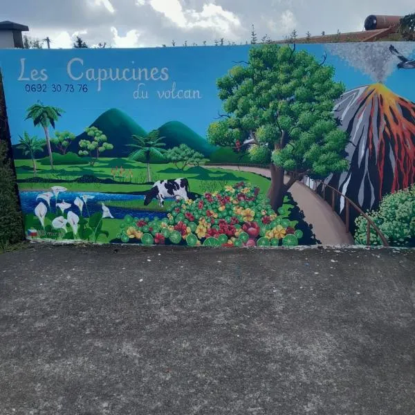 petite chambre vue piton des neiges Les Capucines du volcan, hotel in La Plaine des Cafres