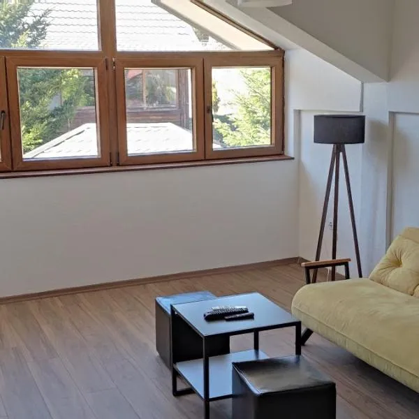 Mickey's Apartments, khách sạn ở Mavrovo