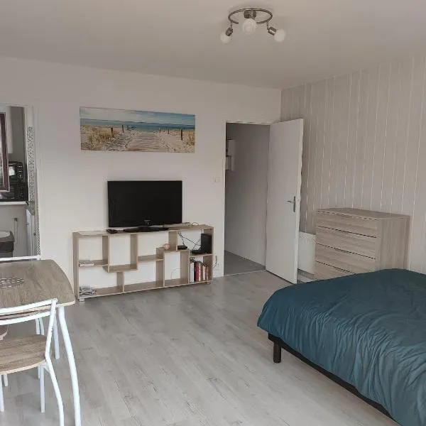 Studio proche centre-ville et gare, hotel v destinaci Dax