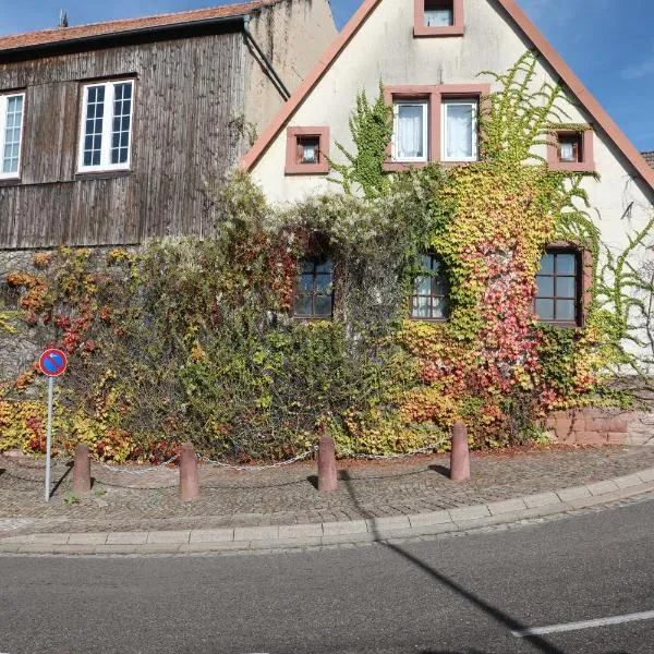 Südpfalz, hotel in Barbelroth