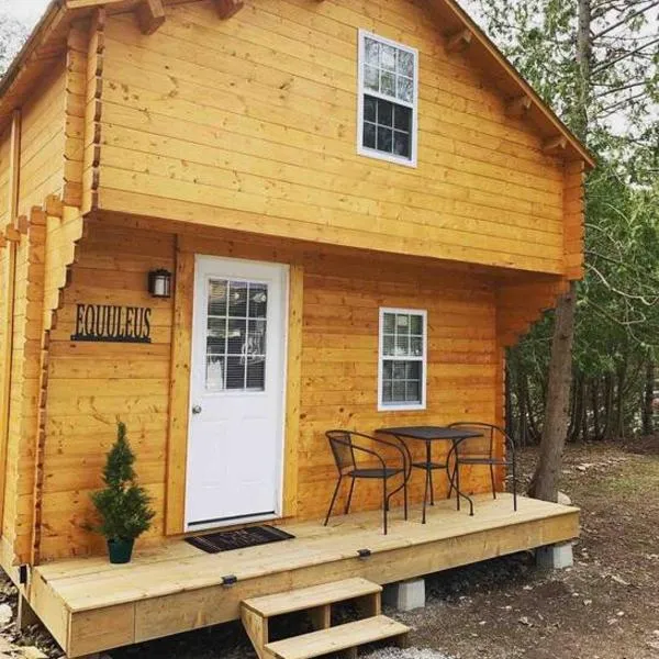 Equuleus Lofted Kabin, hotel in Fenelon Falls