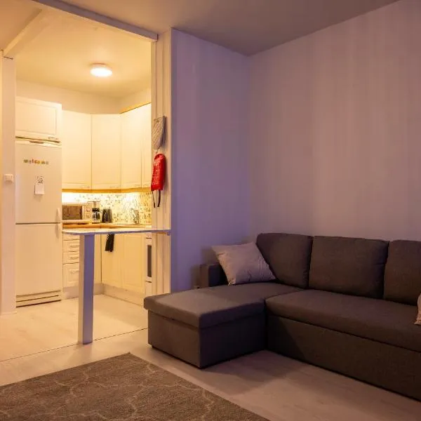 Cozy Apartment by the Sea 2 Rooms Free private parking, hotel em Kemi