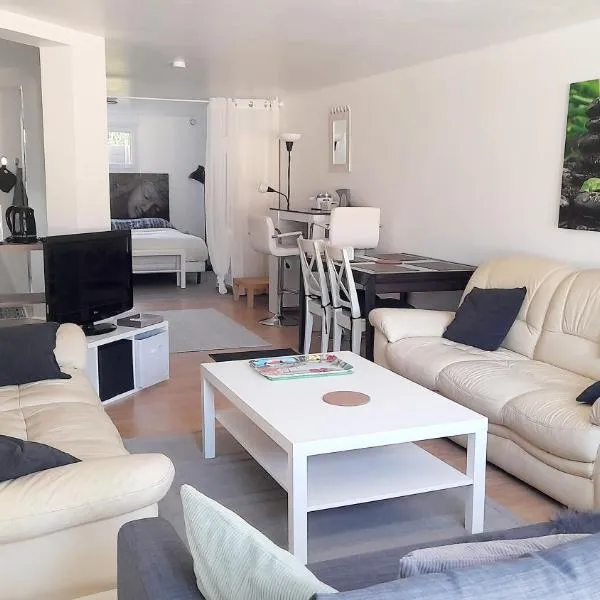 Grand Studio Indépendant à 30 minutes de Paris (RDC d'un pavillon) dans village bord de Seine, hotel v destinácii La Frette-sur-Seine