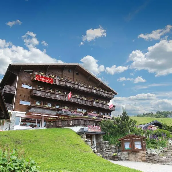 Hotel Bettmerhof, hotel v destinaci Bettmeralp