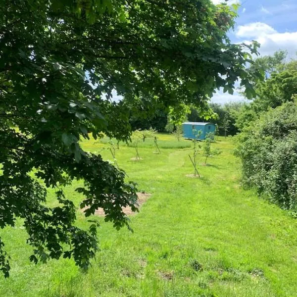 Woodpecker Shepherd Hut with private facilities Newmarket CB8、ケンブリッジのホテル