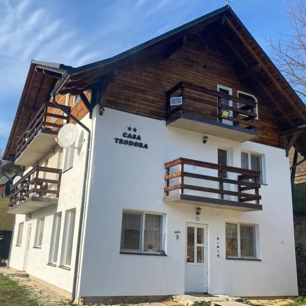 Casa Teodora, hotel in Albac