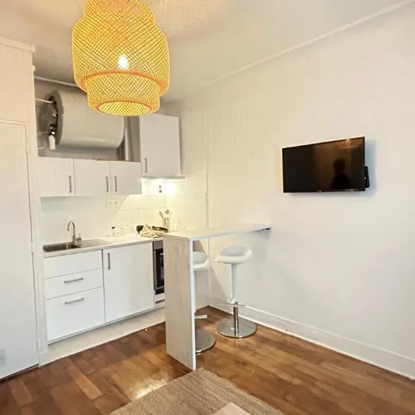 Coquet Studio Refait a Neuf en Avril 2024