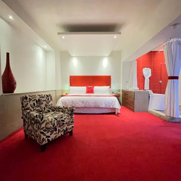 Zújmú Business Boutique Hotel, hotel v destinaci Aguascalientes