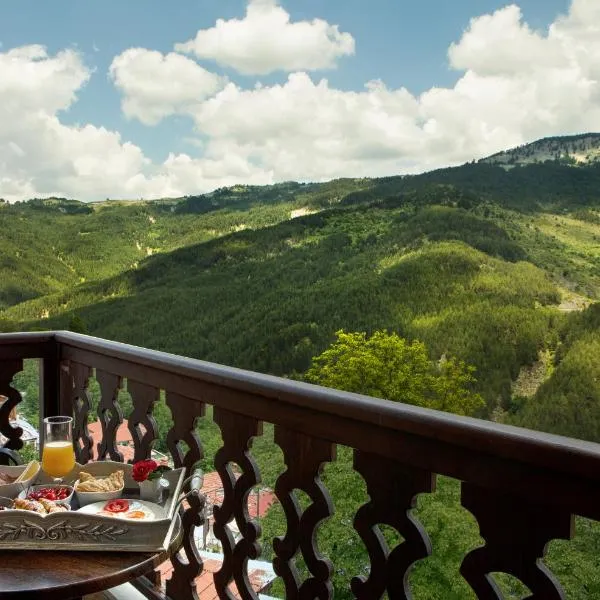 메트소보에 위치한 호텔 AROMA DRYOS SPA & ECO Hotel