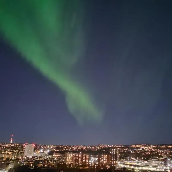 Adorable 1-bedroom apartment with a fantastic view - Free Parking, hotel en Trondheim