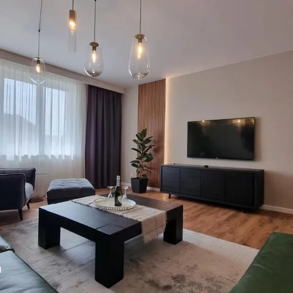 Nico's stylish Apartment, hotel in Satu Mare