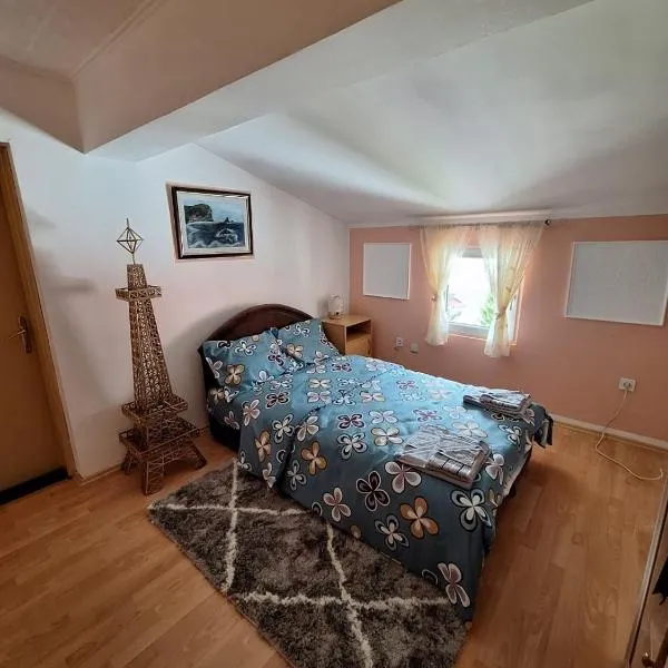 Apartment DUCA, hotel di Pluzine