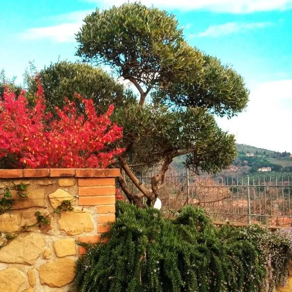 Olivo Bonsai, хотел в Пасиняно сул Тразимено