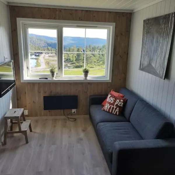 Utleieleilighet 4 sengeplasser Ski inn og ut, Hotel in Drangedal