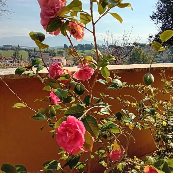 acasadimamma, hotel v destinaci Monterotondo