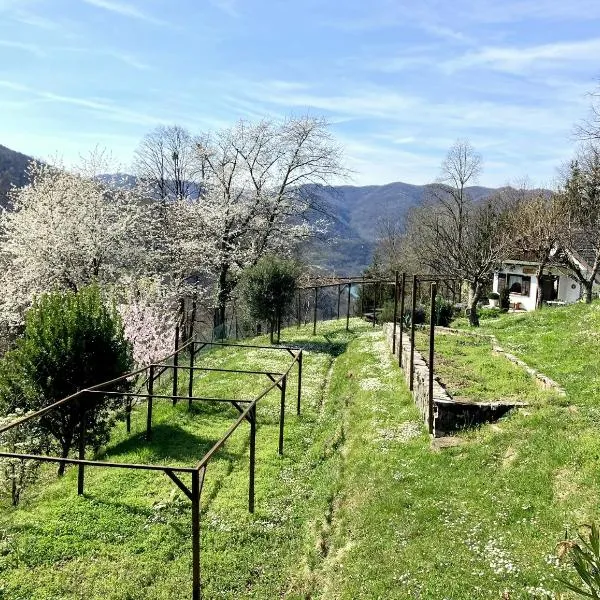 Vilijev Raj, a property with cottage in the countryside, hotel v destinaci Avče