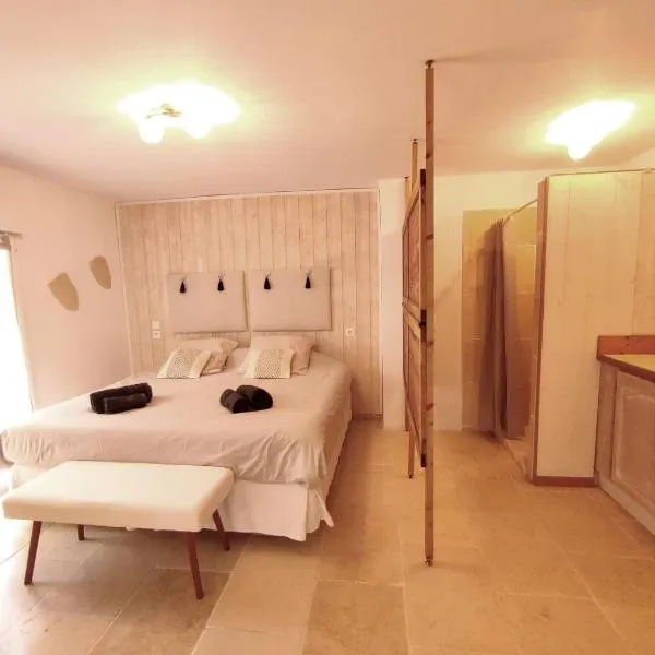 Studio Alpilles avec parking et spa privatif, hotel in Tarascon