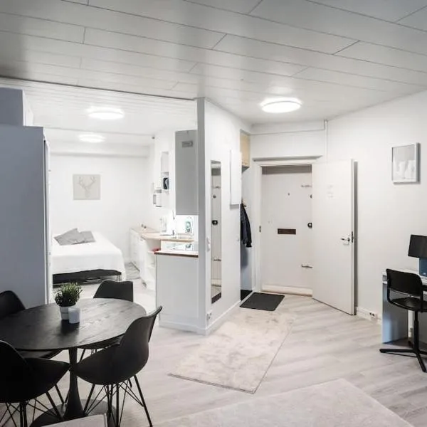 Charming Spacios Studio at Kallio, hotel sa Helsinki